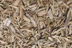 biomass boilers Gallowsgreen
